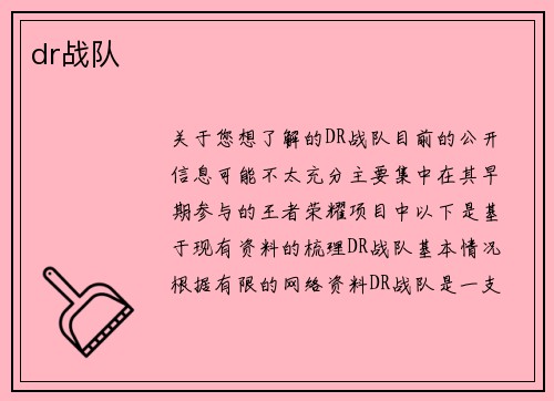 dr战队